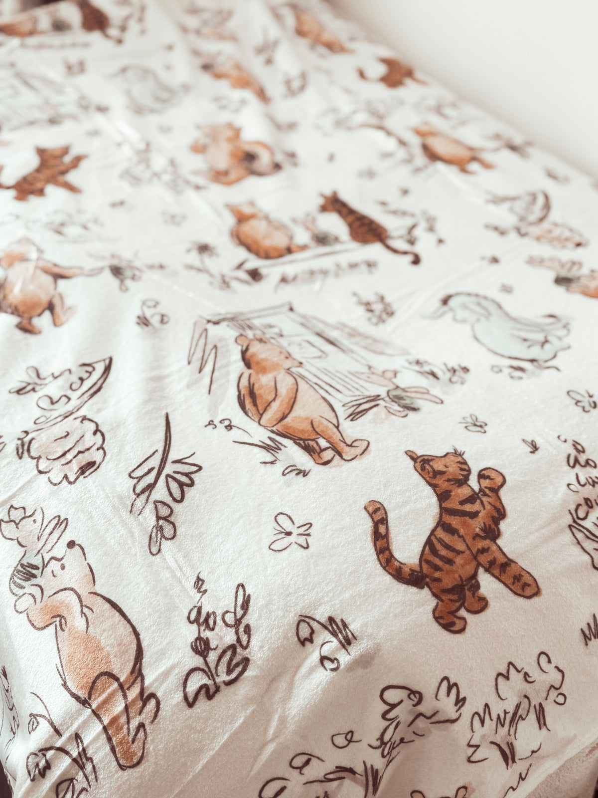 Hundred Acre Wood Minky Blanket