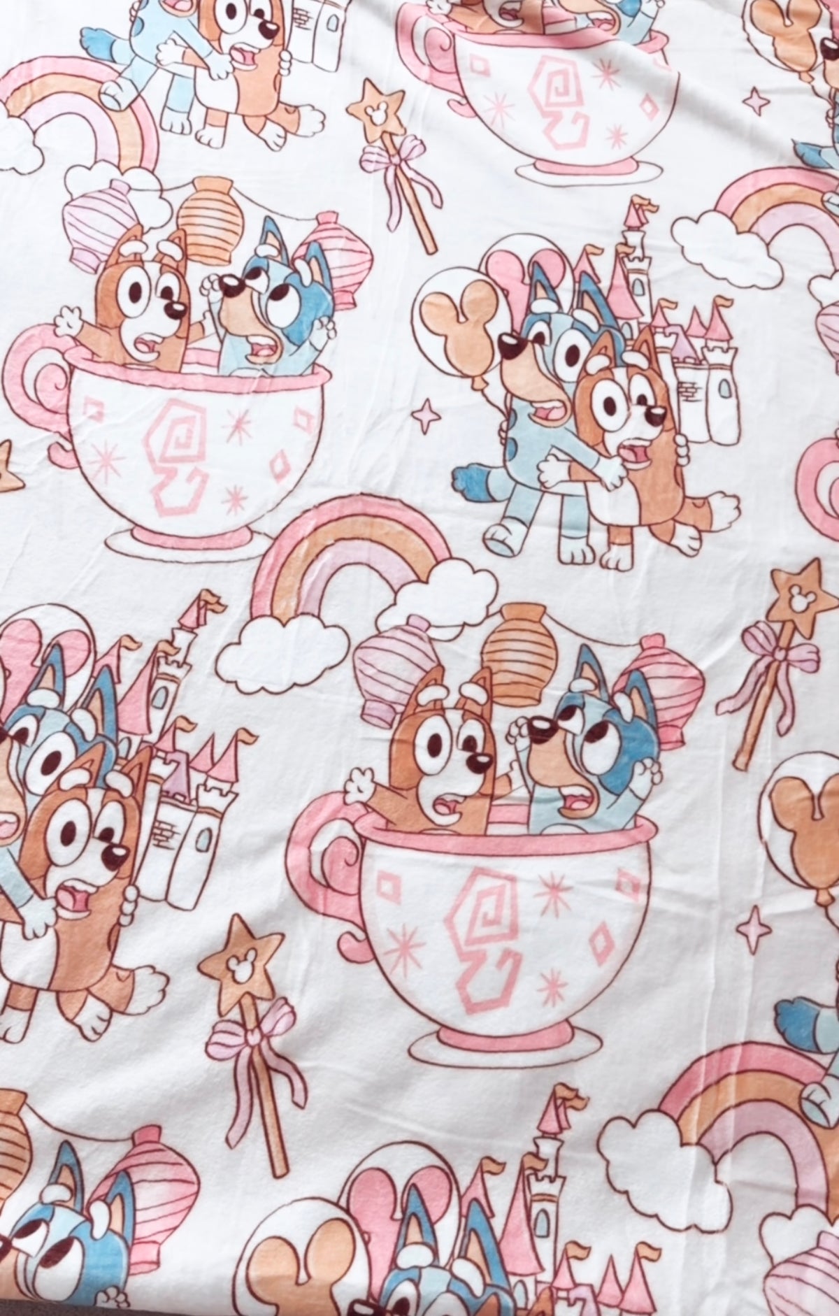 Dog Sisters Minky Blanket
