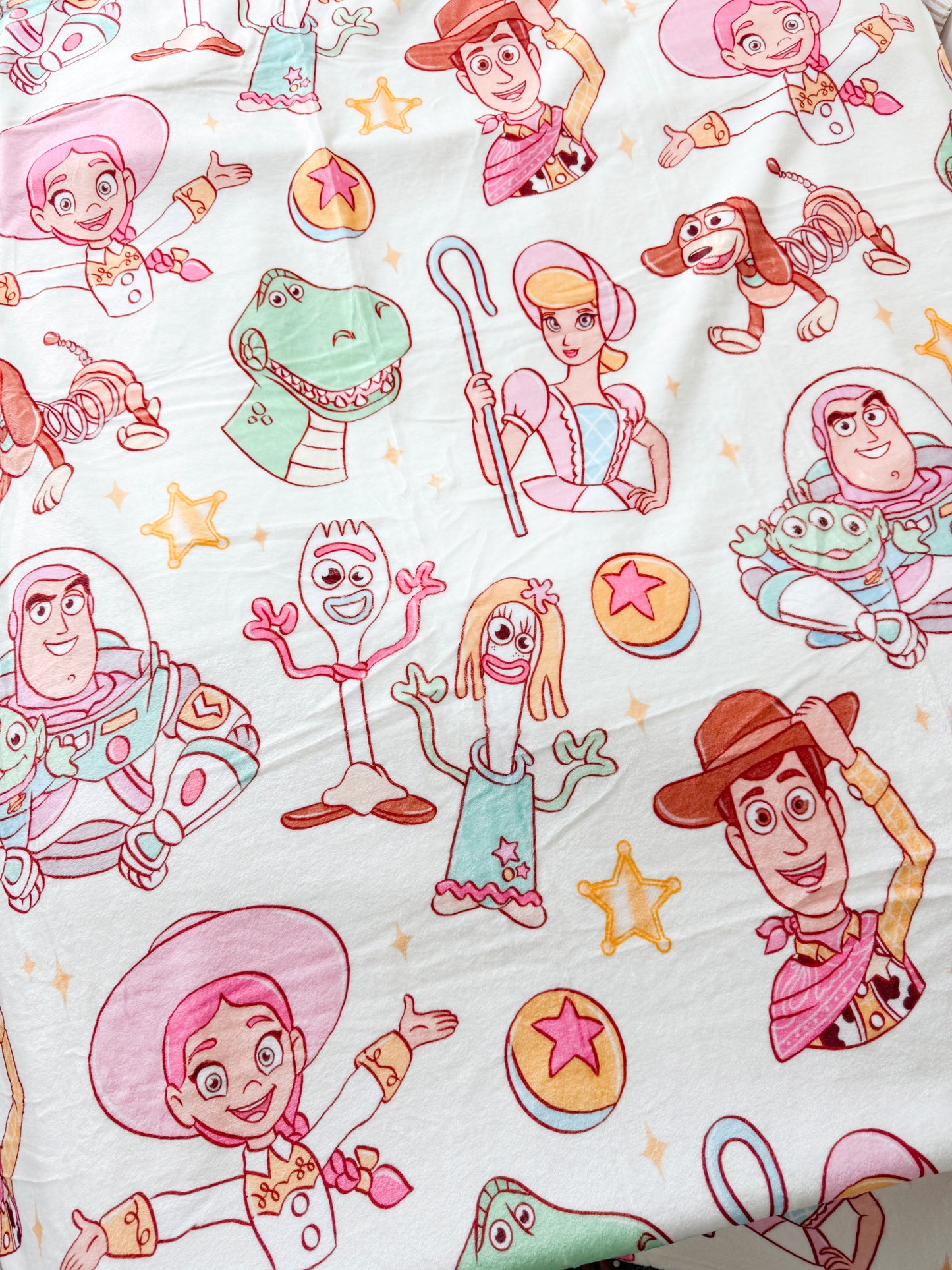 Pastel Toy Minky Blanket