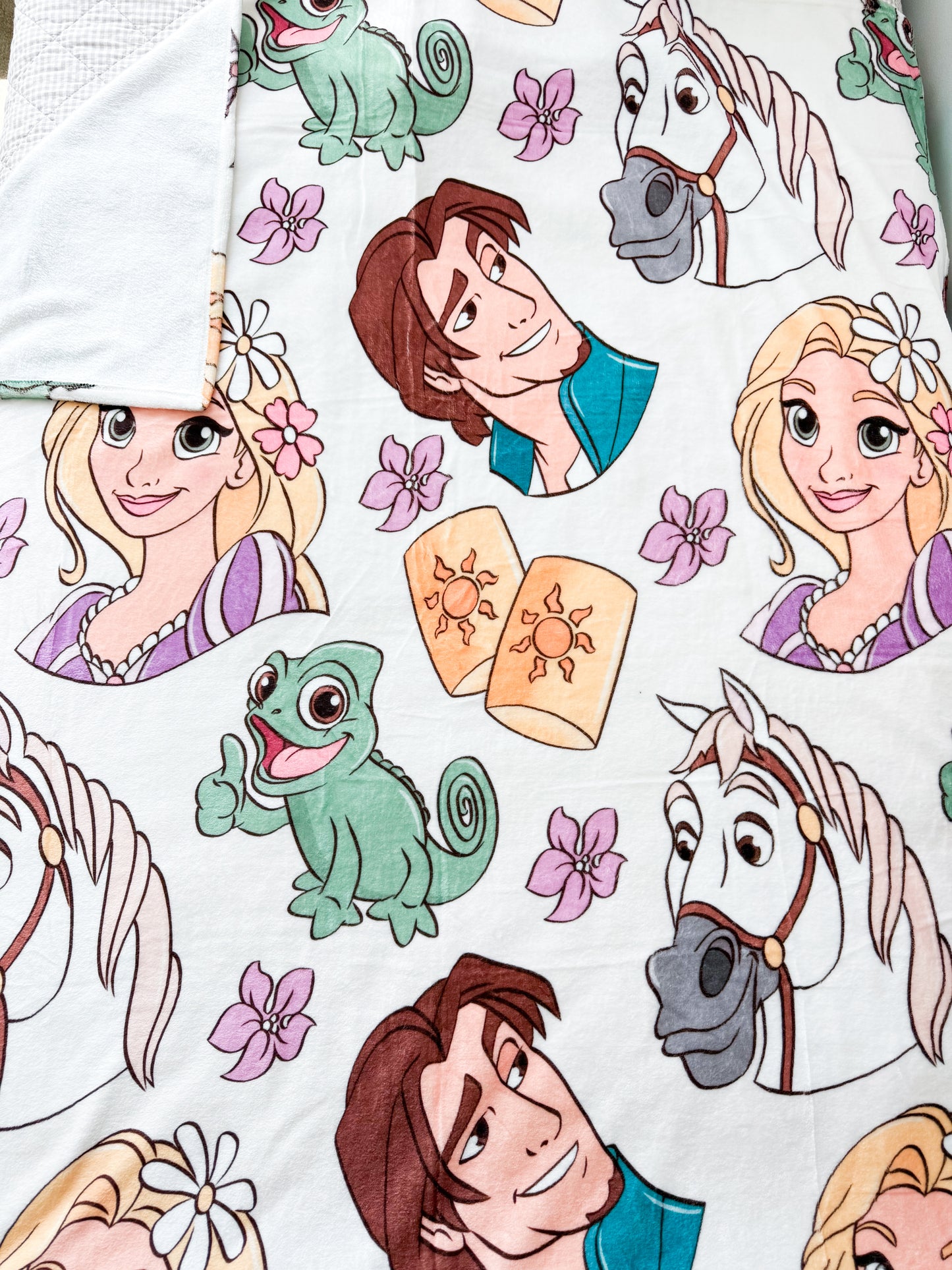 Purple Princess Minky Blanket